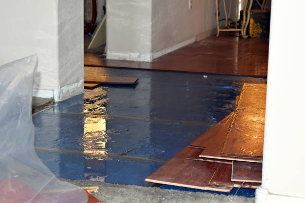 Professional Burst Pipe Cleanup technician working in Dracut, MA